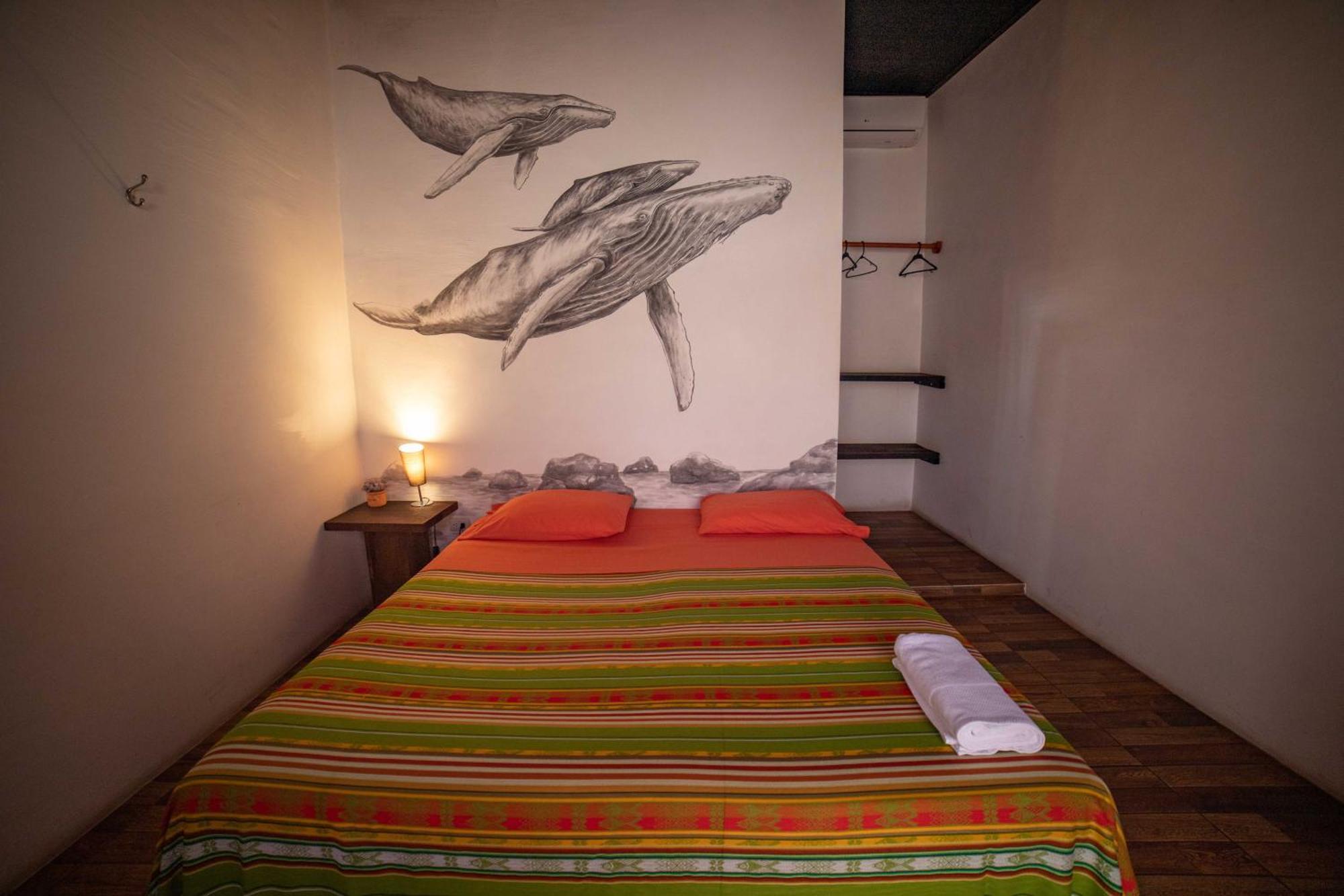 Galapagos Morning Glory Hostel Puerto Ayora  Ruang foto