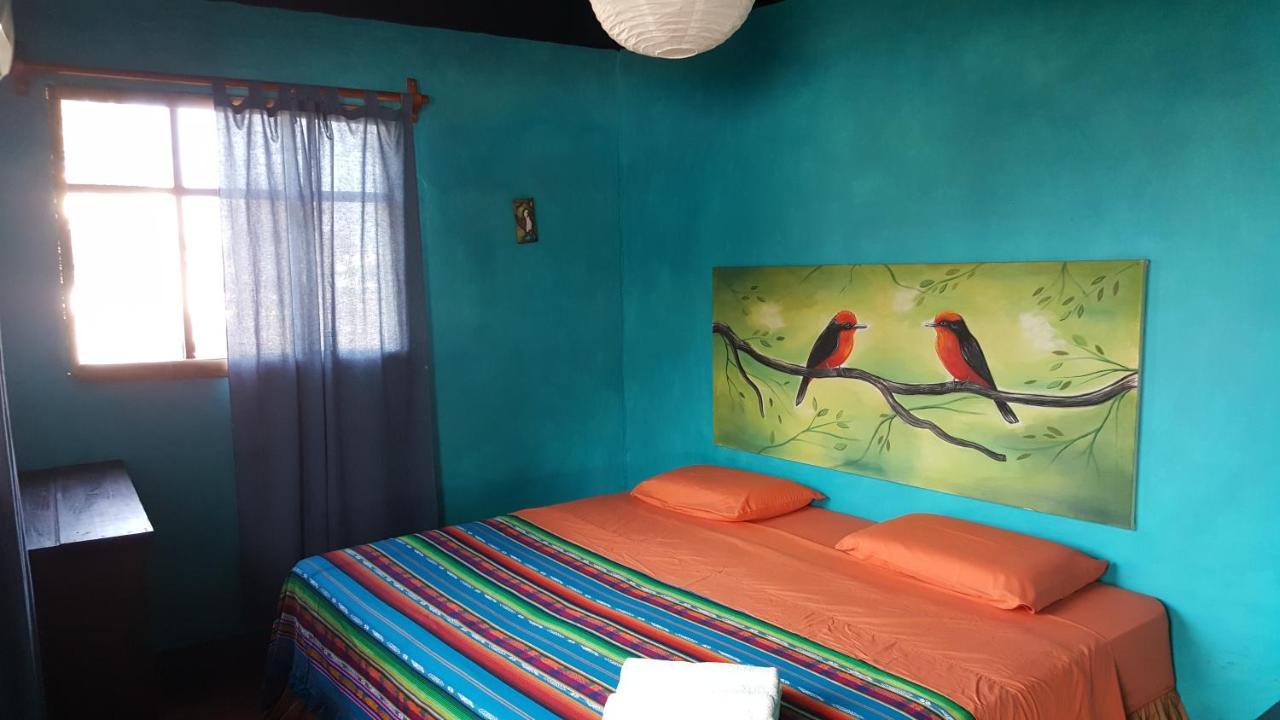 Galapagos Morning Glory Hostel Puerto Ayora  Bagian luar foto