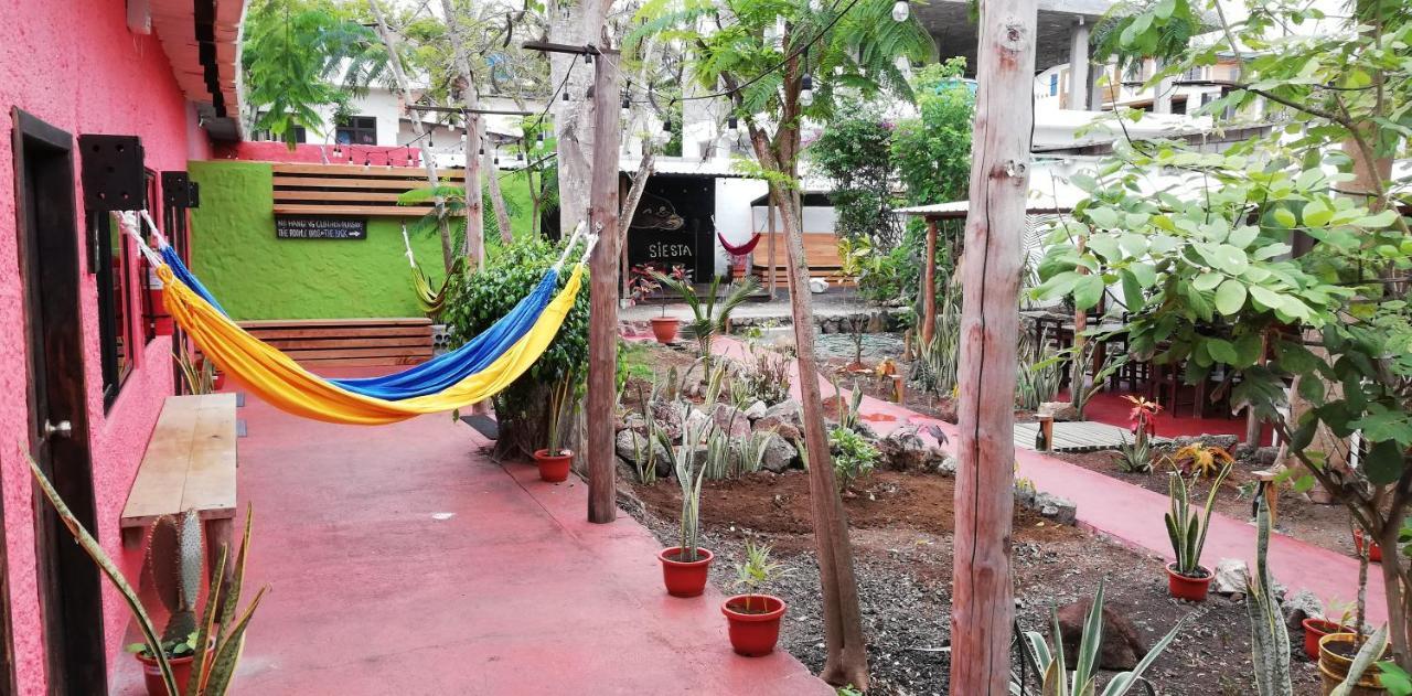 Galapagos Morning Glory Hostel Puerto Ayora  Bagian luar foto
