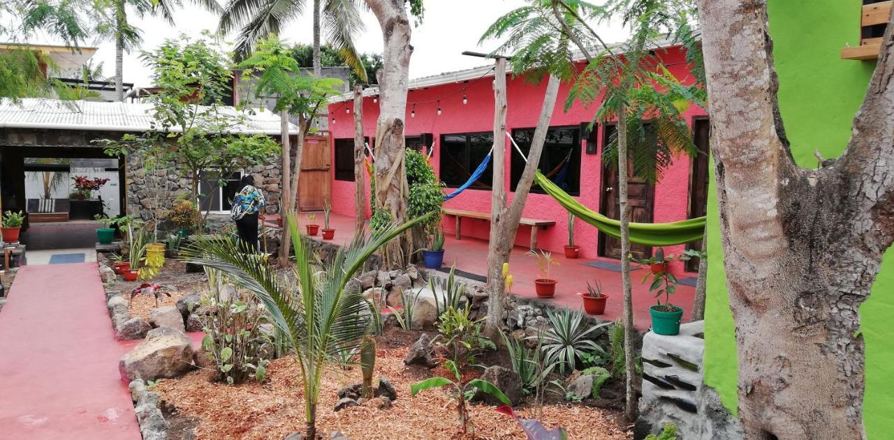 Galapagos Morning Glory Hostel Puerto Ayora  Bagian luar foto